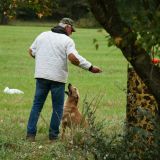 FIRST STATE RETRIEVER CLUB NEW MEMBERSHIP